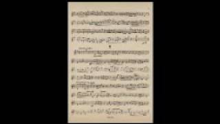 Mokry Violin Concertino in G Major Mov2 [upl. by Roux]