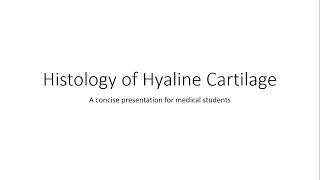 Hyaline Cartilage  Histology [upl. by Soilisav]