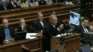 Oscar Pistorius Trial Wednesday 9 April 2014 Session 5 [upl. by Latoye]