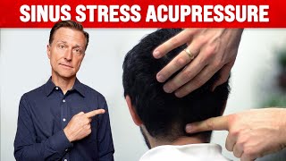 How to Get Rid of Sinus Congestion – Acupressure for Sinus – Dr Berg [upl. by Nelleyram]