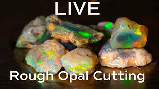 LIVE rough opal cutting from BOD headquarters [upl. by Niar]