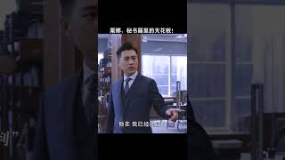 谁能拒绝这样的秘书啊！影视解说 国产剧 影視解說 國産劇 [upl. by Thomasine]