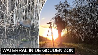 Vlog 181 De mysterieuze waterral [upl. by Brom]