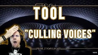 Tool quotCulling Voicesquot Reaction A nice slow burn [upl. by Sudnor]