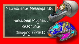 Functional Magnetic Resonance Imaging fMRI explained  Neuroscience Methods 101 [upl. by Yun]