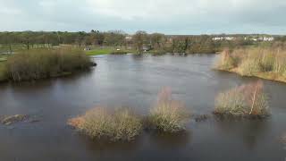 Wateroverlast Hulsen en Wierdense Veld  26 december 2023 [upl. by Silin]