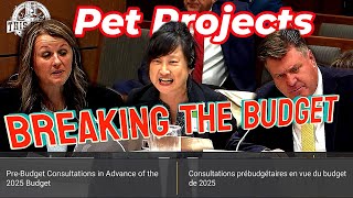 Budget 2025 The Liberal governments focus on funding pet projects [upl. by Seigler]