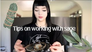 Tips on working with sage [upl. by Brag]