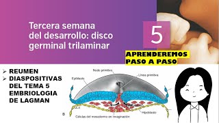 TEMA 5 EMBRIOLOGIA TERCERA SEMANA DEL DESARROLLO DISCO GERMINAL TRILAMINAR [upl. by Melody456]