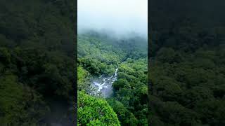 Bandaje water falls trek with karnatakahikesmansoon westernghats hike trek karnataka viral [upl. by Popper]