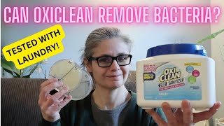 Can OXICLEAN Remove Bacteria from Cleaning Cloths Tested the Laundry [upl. by Asseram833]