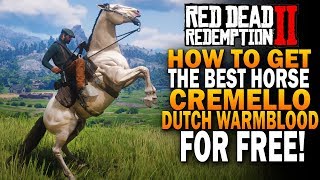 How To Get The Best Horse Cramello Gold Dutch Warmblood Red Dead Redemption 2 Horses RDR2 [upl. by Reifel]