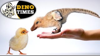 What is the Chickenosaurus Dino Times [upl. by Drolyag665]