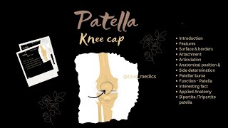 Patella knee cap Anatomy features surface amp borders wow facts Applied anatomy lovemedics [upl. by Anaitsirhc]