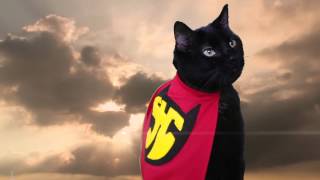 Super Hero Cat Official Music Video  N2 the Talking Cat S2 Ep18 [upl. by Anerec805]