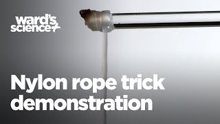 Wards Nylon Rope Trick Demonstration [upl. by Ahoufe]