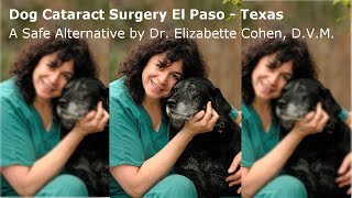 Dog Cataract Surgery El Paso  Texas  MUST SEE Canine Cataract Video [upl. by Knight717]