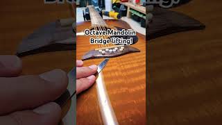 Octave Mandolin Bridge lifting [upl. by Anelegna]