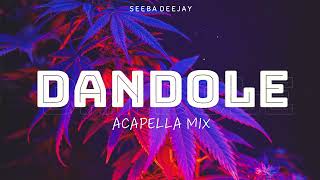 DANDOLE REMIX  SEEBA DEEJAY [upl. by Attenohs]