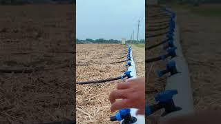 t tape irrigation irrigation tape drip line shorts farmer gardening lawn crop [upl. by Nnaitak]