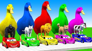 5 Giant Duck CartoonCowLionTRexHuskyBearMonkey Paint Wild Animals Crossing Fountain Animation [upl. by Juley883]