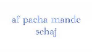 af pacha mande schej [upl. by Yllatan]