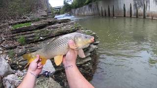 Chartiers Creek Fishing [upl. by Norbie470]