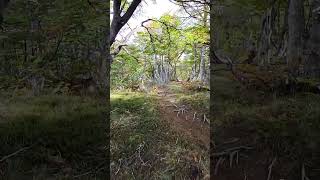 Todos los CLIMAS en Laguna Jovita otoño 2024 Cerro LINDO patagonia argentina hiking nature ASMR [upl. by Elletsyrk]