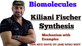 kiliani Fischer Synthesis  BiomoleculesCarbohydrates Mechanism With Examples [upl. by Greenebaum805]