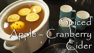 Spiced AppleCranberry Cider  A Warm Holiday Drink [upl. by Helsie767]