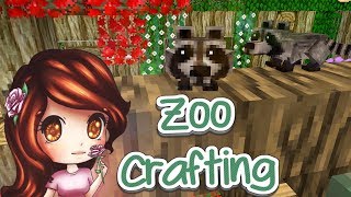 Raccoon Disaster  Zoo Crafting  Ep 160 Modded Minecraft [upl. by Aurora]