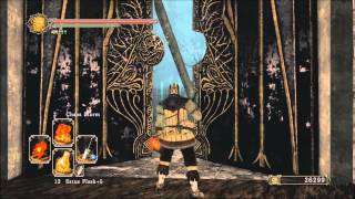 Dark Souls 2  Aldias Keep Getting There [upl. by Putnam]