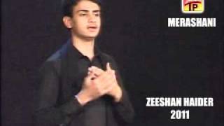 ZEESHAN HAIDER 2011 SARAIKIVEERAN ALWIDA [upl. by Irafat801]