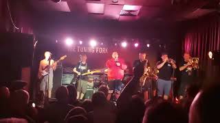 quotFatty Fattyquot Bad Manners Live Auckland NZ [upl. by Nylaj]