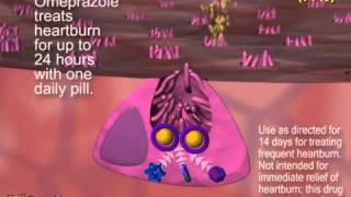 Proton Pump Inhibitors PPI animation for Perrigo Company [upl. by Oehsen]