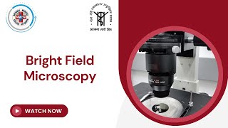 Bright Field Microscopy [upl. by Weinman896]