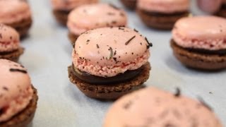 100 Macarons  750g de Gourmandises [upl. by Pammie980]