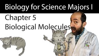 Chapter 5 – The Structure and Function of Large Biological Molecules [upl. by Conyers]