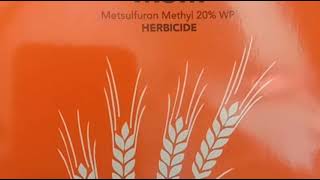 गेहूं के खरपतवार को कैसे नियंत्रण करें  Metsulfuron methyl 20 [upl. by Franck]