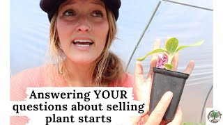 Answering YOUR questions about selling plant starts VLOG [upl. by Eneluj703]