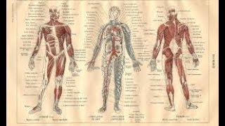 Généralités sur module d ANATOMIE 1ère année medecine [upl. by Lauraine]