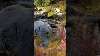 Mt Rainier Zen mountains volcano zen natural nature watersounds [upl. by Cutcheon]