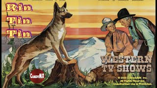 The Return of Rin Tin Tin 1947  Full Movie  Rin Tin Tin Jr  Donald Woods  Robert Blake [upl. by Ainitsirc]