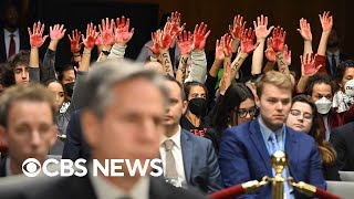 Watch Protesters calling for ceasefire in Gaza disrupt Senate hearing over Israel aid [upl. by Audri782]