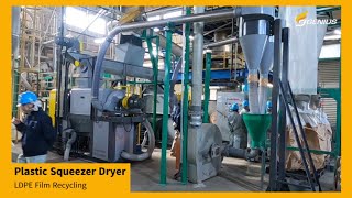 Plastic Film Recycling｜LDPE Film Recycling｜Plastic Squeezer Dryer  Genius [upl. by Horgan]