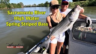 Sacramento River High Water Spring Striped Bass [upl. by Ulrick]