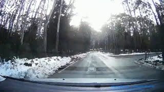 Time lapse to Mt Donna Buang from City of Melbourne  Snow Hunting ❄️❄️❄️ [upl. by Acissey]