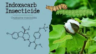 Indoxacarb A Potent Insecticide for Sustainable Pest Management [upl. by Bautista846]