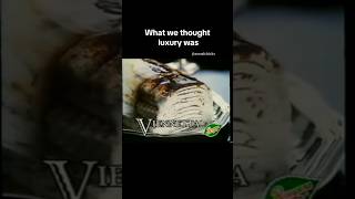 VIENNETTA ICE CREAM [upl. by Wessling651]