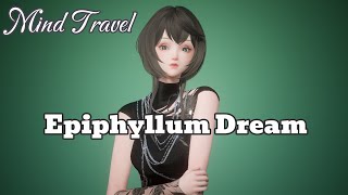 Bộ Epiphyllum Dream  Mind Travel  Life Makeover Sing [upl. by Obadias311]